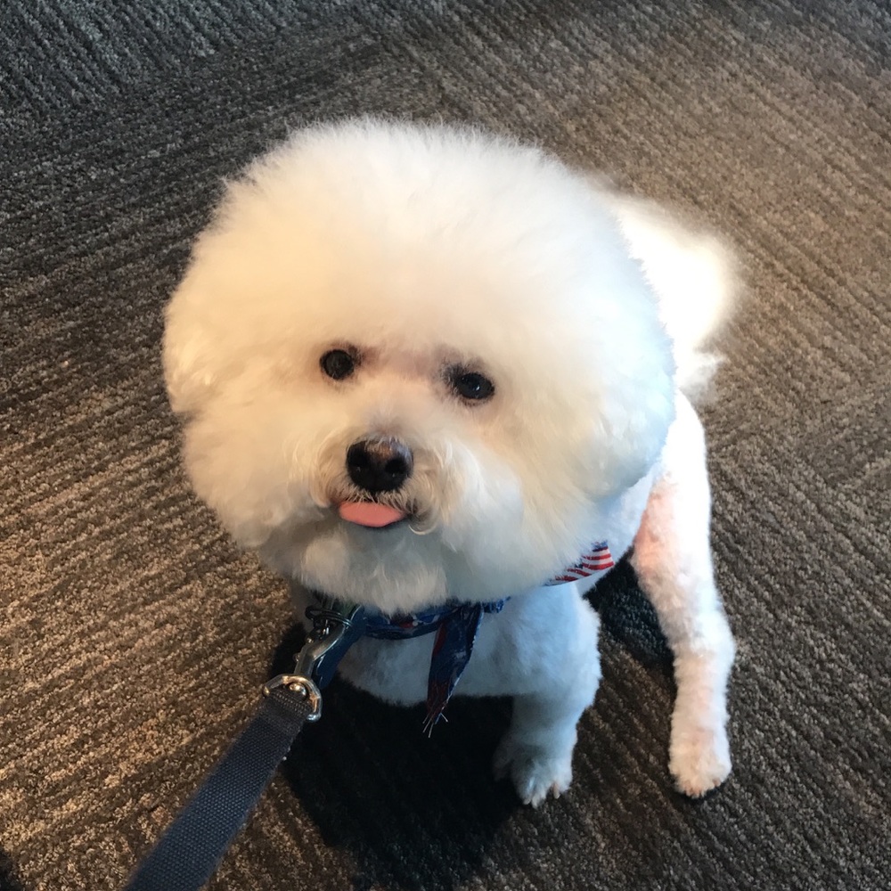 Meet your Posher, Kelly